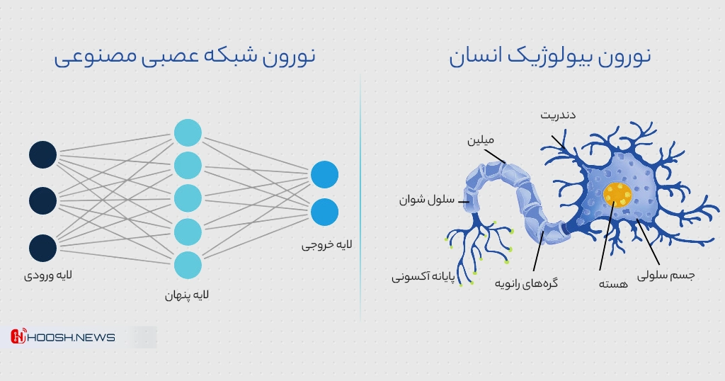 تفاوت نورون انسان با شبکه عصبی مصنوعی