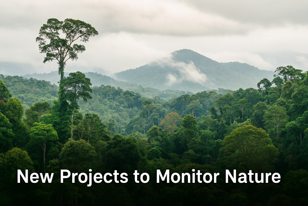 سه پروژه طبیعت دیپ مایند